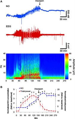 PDI Knockdown Inhibits Seizure Activity in Acute Seizure and Chronic Epilepsy Rat Models via S-Nitrosylation-Independent Thiolation on NMDA Receptor